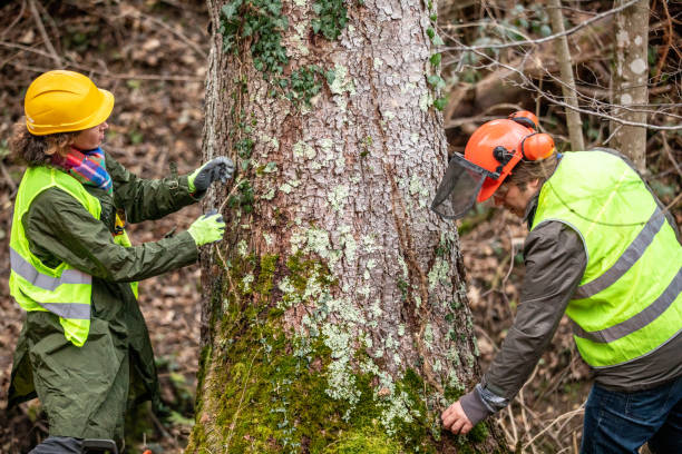 Best Root Management and Removal  in Unionville, GA